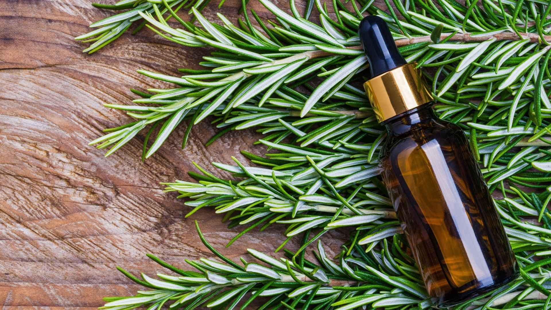 Can Rosemary Oil Regrow Hair? Let's Talk Science.