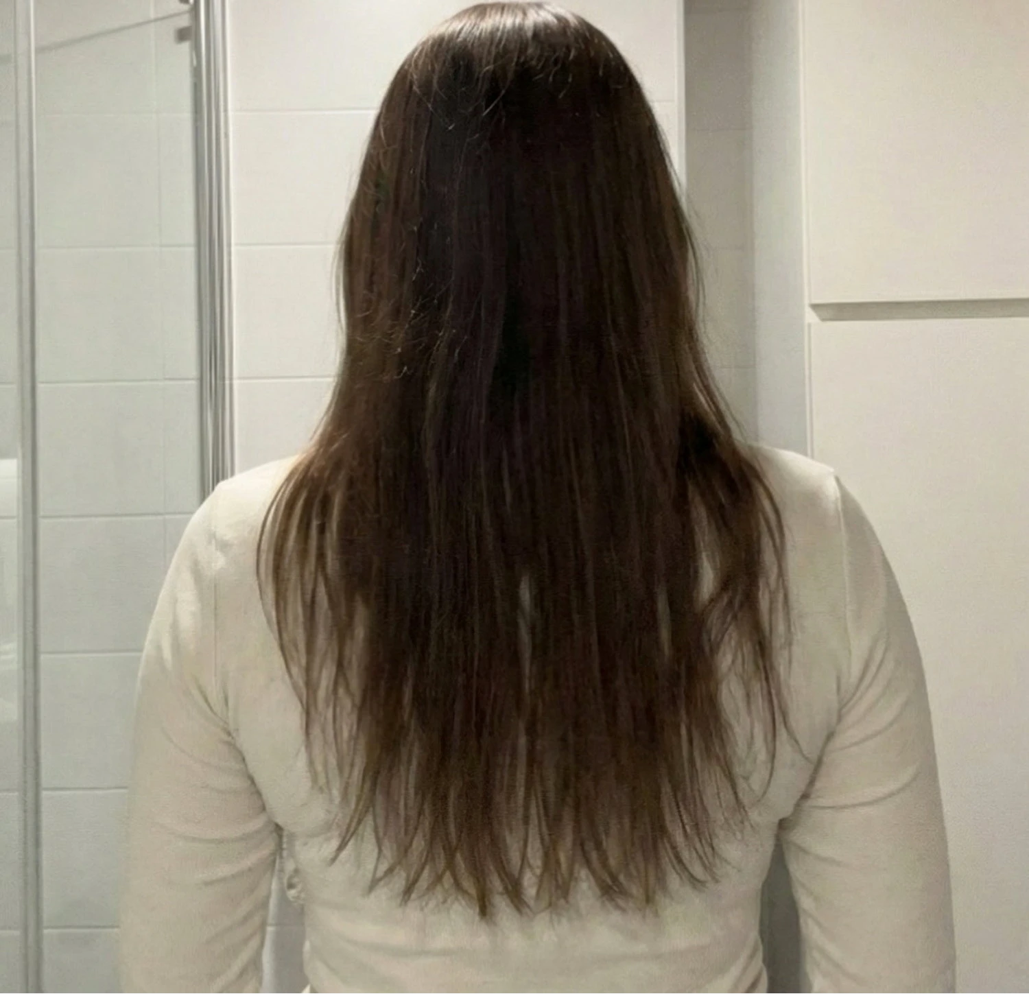 Before shot of a woman's haircare journey.